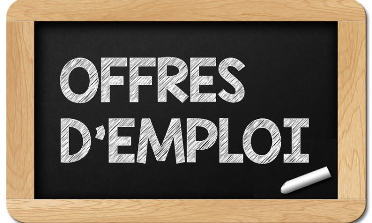 AVIS DE RECRUTEMENT POUR L'OMCA - TOGO.